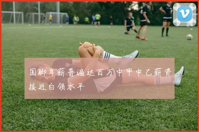 国脚年薪普遍达百万中甲中乙薪资接近白领水平