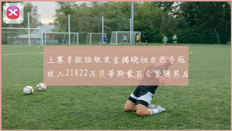 上赛季欧协联奖金揭晓切尔西夺冠收入21822万贝蒂斯紫百合紧随其后