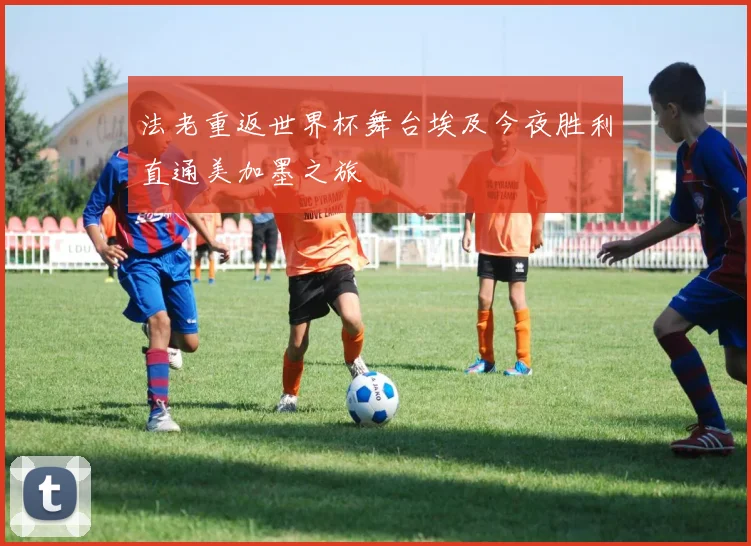 法老重返世界杯舞台埃及今夜胜利直通美加墨之旅
